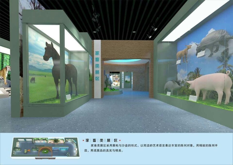 展館壁畫制作單位博物館設計師專業設計施工